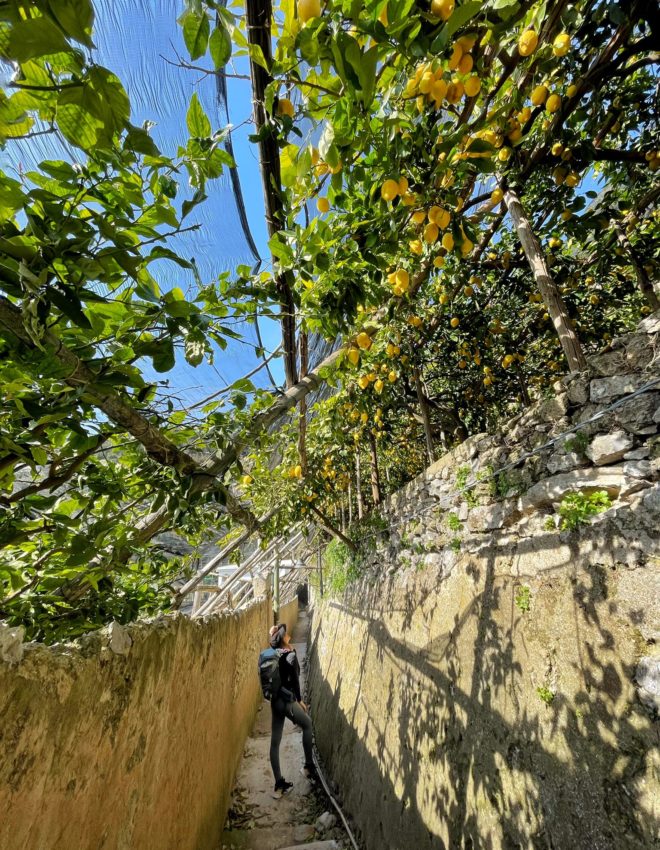 Il Sentiero dei Limoni: da Maiori a Ravello