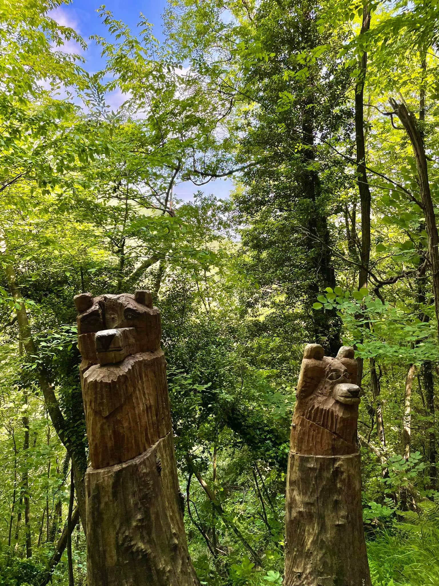 monte dell'avvocata.