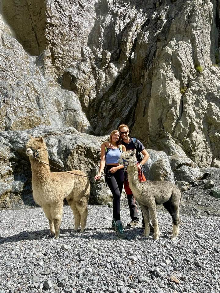 trekking alpaca