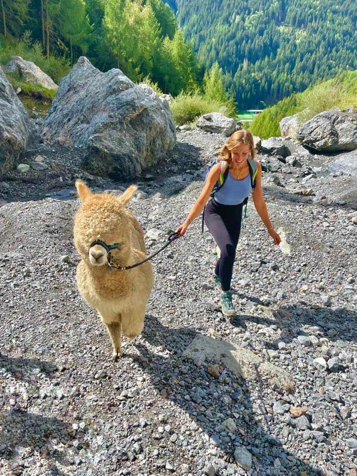 trekking alpaca