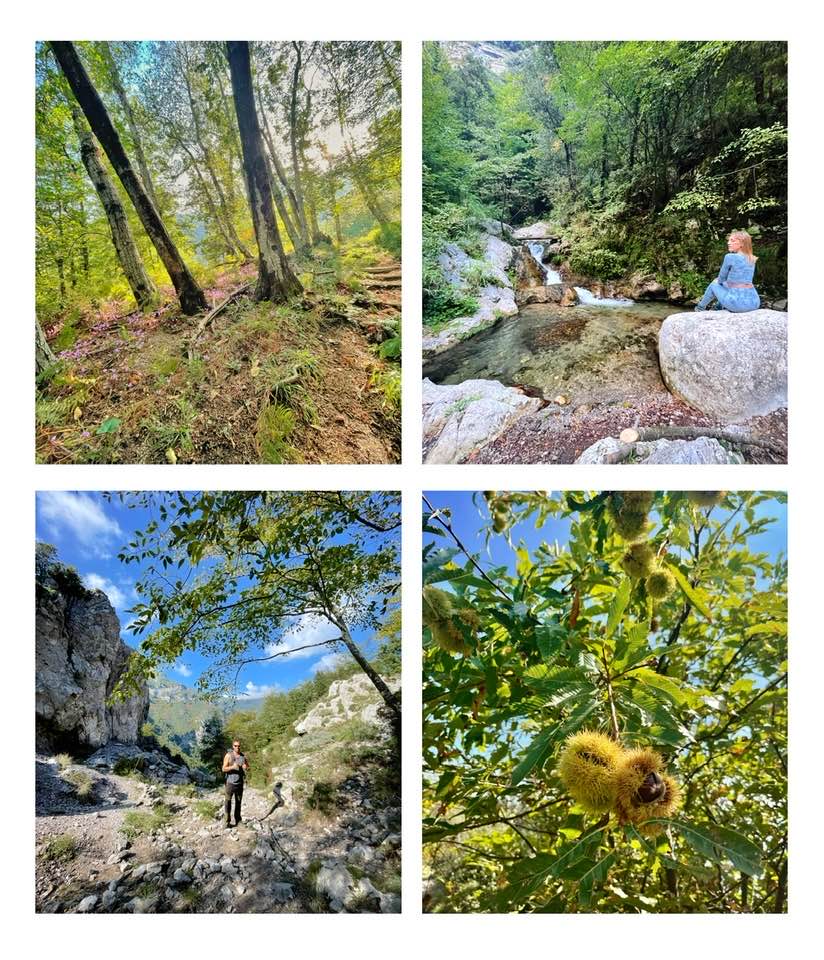 valle delle ferriere