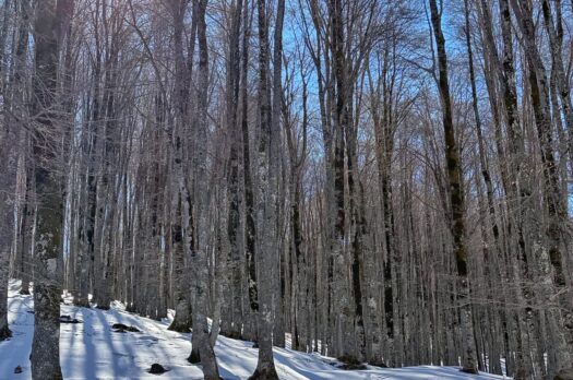 Weekend in inverno a Pescasseroli