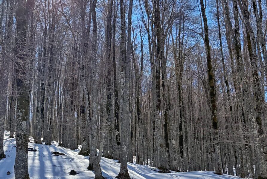 Weekend in inverno a Pescasseroli